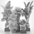 Tropical Indoor Plants Collection 3D model small image 2