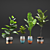 Exotic Plant Collection: Plant & Vase 3D model small image 1