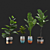 Exotic Plant Collection: Plant & Vase 3D model small image 4
