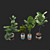 Exotic Plant Collection: Plant & Vase 3D model small image 5