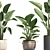 Exotic Houseplants Collection 3D model small image 2