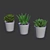 Everlasting Greenery: Artificial Succulents 3D model small image 4