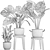 Exotic Houseplant Collection 3D model small image 5