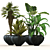 Lush Oasis: Office and Coffee Shop Plant Set 3D model small image 1