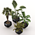 Lush Oasis: Office and Coffee Shop Plant Set 3D model small image 2