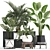 Exotic Plant Collection with Decorative Pots 3D model small image 1