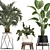 Exotic Plant Collection with Decorative Pots 3D model small image 4