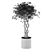 Golden Capella - Elegant Schefflera Tree 3D model small image 7