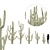 Desert Dreams Cactus Set 3D model small image 1