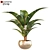 3D Plant Model - VRAY_CORONA 3D model small image 1