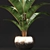 3D Plant Model - VRAY_CORONA 3D model small image 2