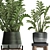 Exotic Houseplant Collection: Zamioculcas & Caladium in Pots 3D model small image 4