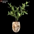 3D Plant Model - High Quality Archive 3D model small image 1