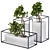 Marble Pot Bonsai Pine - 3 Types 3D model small image 1