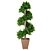 Spiral Boxwood - 1447mm Height 3D model small image 1