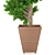 Spiral Boxwood - 1447mm Height 3D model small image 3