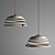 Sleek Birch Pendant Lamp 3D model small image 1