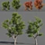  Seasons Tree Pack 3D model small image 1