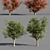 Title: 4 Varieties of Summer-Autumn Trees 3D model small image 1