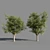 Title: 4 Varieties of Summer-Autumn Trees 3D model small image 2