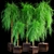 Dwarf Acacia Waterfall: Stunning Plant Set 3D model small image 1