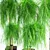 Dwarf Acacia Waterfall: Stunning Plant Set 3D model small image 2