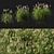 Giant Miscanthus Flower: Stunning and Realistic 3D model small image 1