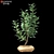 3D Plant Model 3D model small image 1