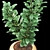 3D Plant Model 3D model small image 2