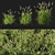 Calamagrostis Grass 3D Model 3D model small image 1