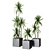 Yucca Pot: Stylish Indoor Plant Collection 3D model small image 1