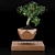 Levitating Plant Collection: Hamedorea, Carmona, Selaginella 3D model small image 2