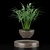 Levitating Plant Collection: Hamedorea, Carmona, Selaginella 3D model small image 3