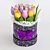 Spring Blooms Gift: Tulips in Box 3D model small image 9