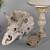 Dino Skull Decor Set 3D model small image 2