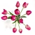 Elegant Tulip Bouquet 3D model small image 3