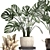 Exotic Monstera Collection: Variegated Houseplants 3D model small image 4