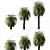 Macrozamia Moorei Palm Tree: Lifelike Foliage for Exquisite Landscapes 3D model small image 1