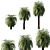 Macrozamia Moorei Palm Tree: Lifelike Foliage for Exquisite Landscapes 3D model small image 2