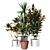 Exquisite Indoor Plant Collection 3D model small image 2
