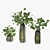 Silver Dollar Eucalyptus Vase 3D model small image 1