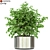 Aesthetic Plants Collection 246 3D model small image 1