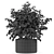 Aesthetic Plants Collection 246 3D model small image 2