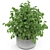 Aesthetic Plants Collection 246 3D model small image 3