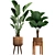 Exotic Plant Collection 3D model small image 3