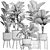 Exotic Plant Collection 3D model small image 5