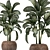 Exotic Plant Collection: Dieffenbachia Spotting 3D model small image 4