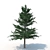 Spruce V1: High-Quality 3D Tree Model 3D model small image 2