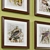 Title: Charming Birds 4-Piece Framed Print Set 3D model small image 2