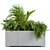 Tropical Gray Plants Box 3D model small image 1